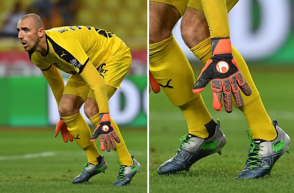 迅速成为年 迅速成为年