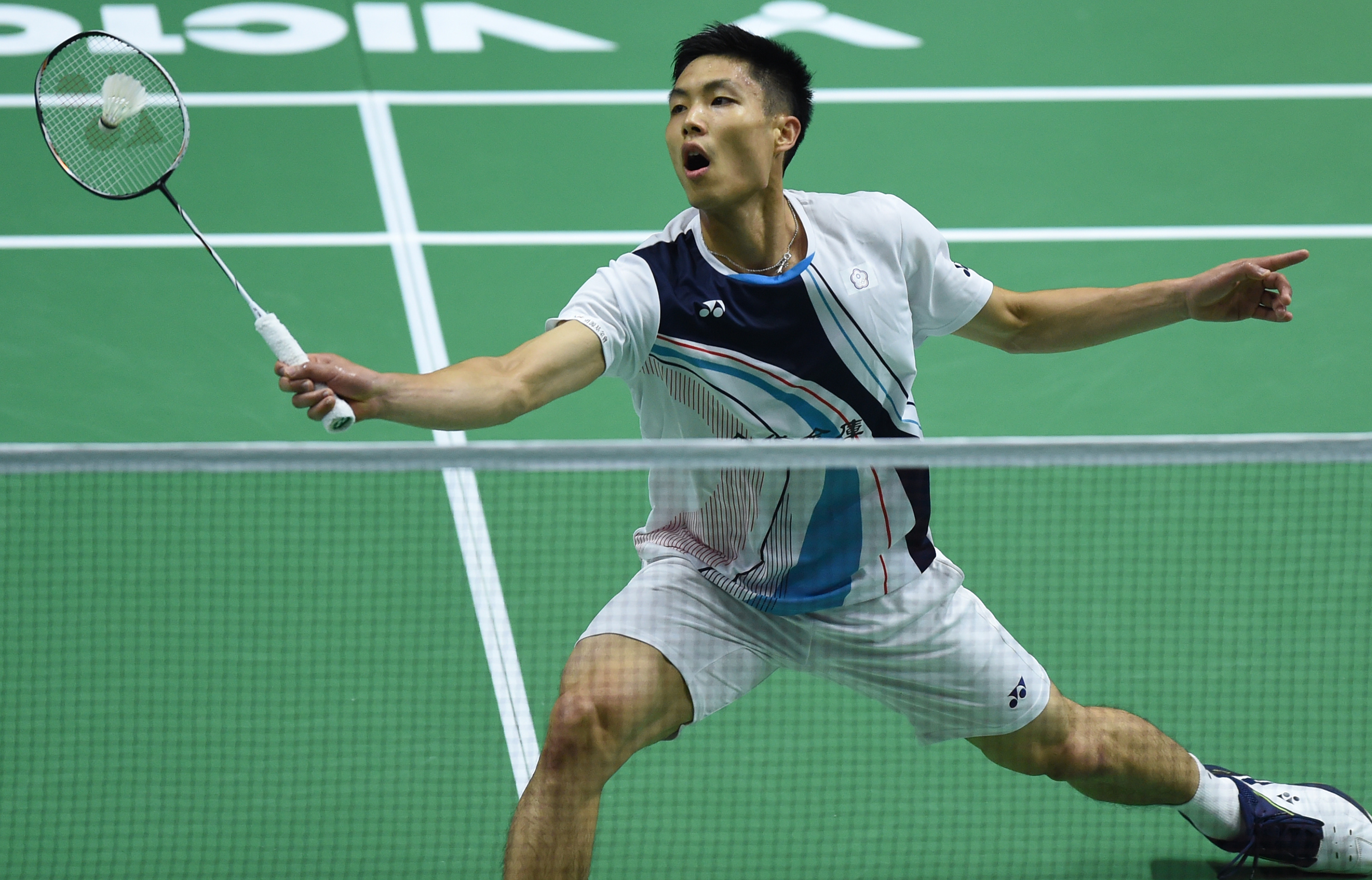 它们的存在 它们的存在